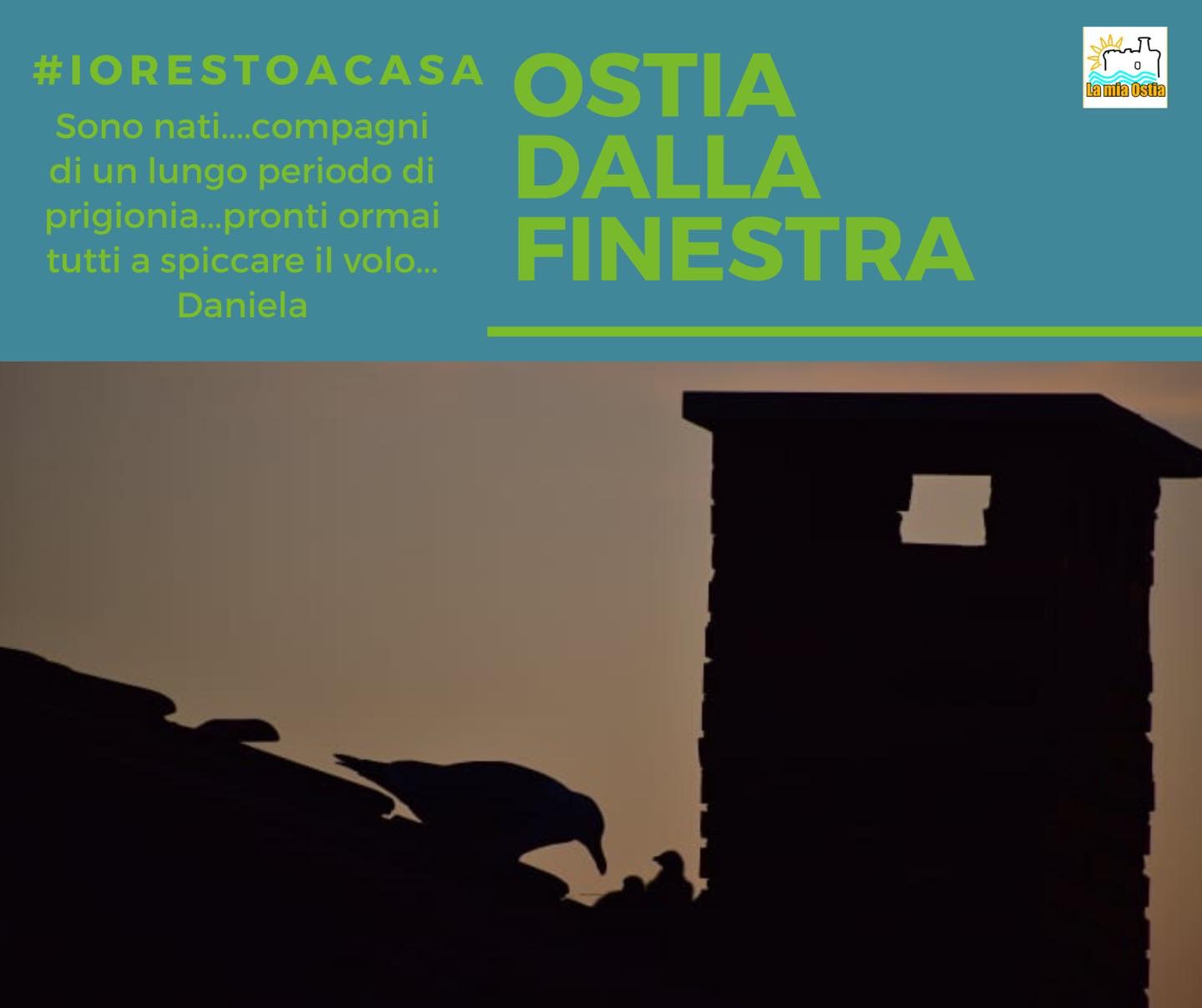 Ostia dalla finestra: mese di aprile